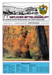 AMTLICHES MITTEILUNGSBLATT - Stadt Schirgiswalde