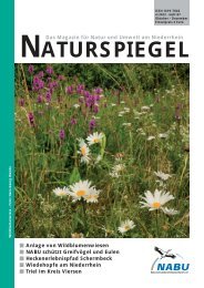 NATURSPIEGEL Heft 4 2012 - NABU Krefeld/Viersen