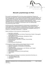 Manuelle Lymphdrainage am Pferd - Barbara Welter-Böller