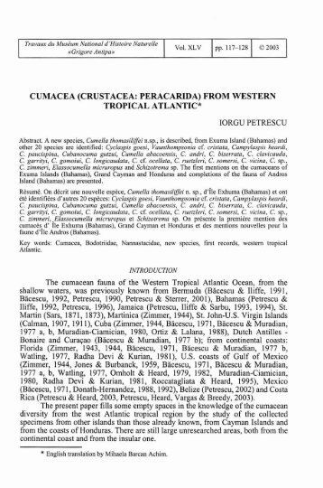 cumacea (crustacea: peracarida) from western tropical ... - Travaux