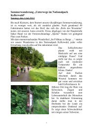 Sommerwanderung „Unterwegs im Nationalpark Kellerwald“