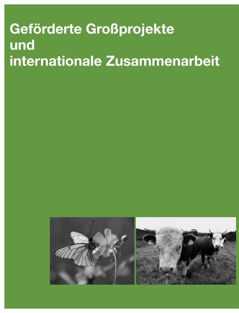 Jahresbericht 2008 - Stiftung Natur und Umwelt Rheinland-Pfalz