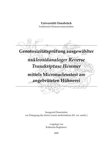 nukleosidanaloger Reverse Transkriptase Hemmer - repOSitorium ...