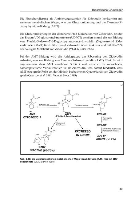 nukleosidanaloger Reverse Transkriptase Hemmer - repOSitorium ...