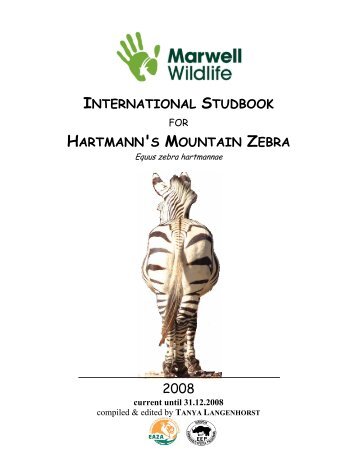 international studbook hartmann's mountain zebra - Marwell Zoo