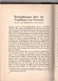 Beobachtungen liber die Vogelfauna von Versmold