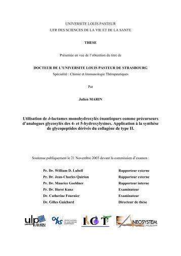 UNIVERSITE LOUIS PASTEUR - THESES ET MEMOIRES DE L'UDS