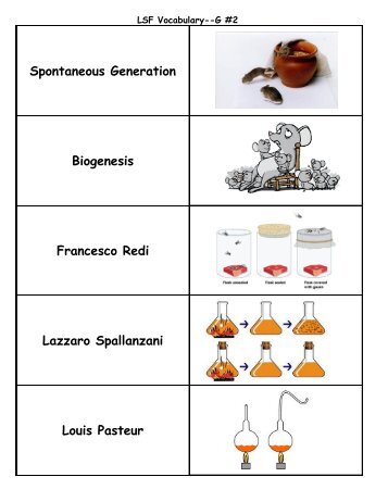 Spontaneous Generation Biogenesis Francesco Redi Lazzaro ...