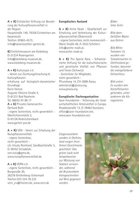 Literatur (Seite 28-29) - Dreschflegel eV