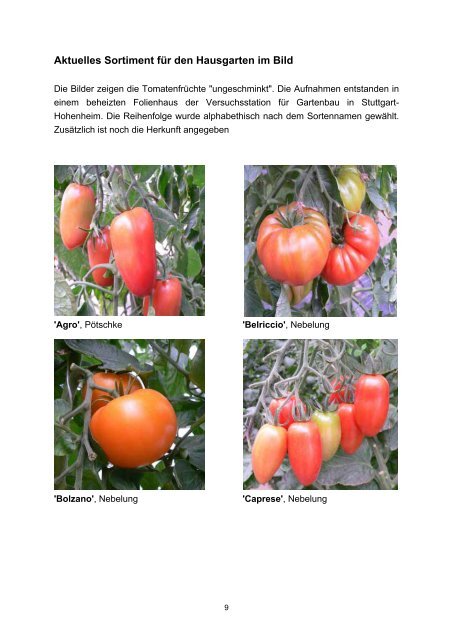 Tomaten - Baden-Württemberg