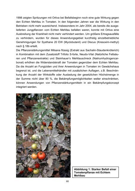 Tomaten - Baden-Württemberg