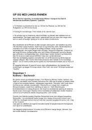 OP OG NED LANGS RHINEN