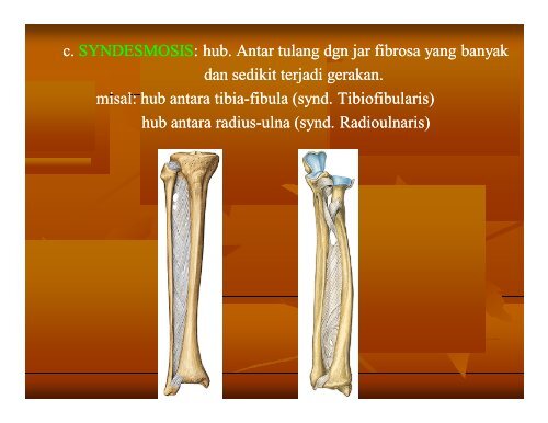 pengantar anatomi - Staff Site Universitas Negeri Yogyakarta