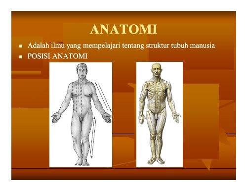 pengantar anatomi - Staff Site Universitas Negeri Yogyakarta