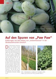 Auf den Spuren von „Paw Paw“