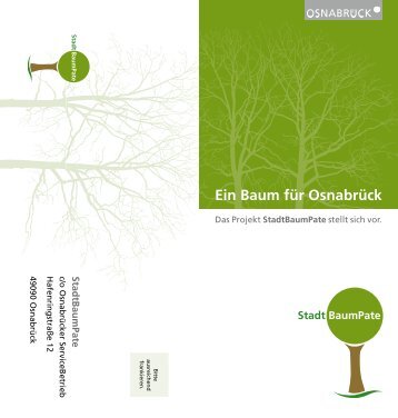 Der Baum - Stadt Osnabrück