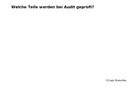 Welche Teile werden bei Audit geprüft