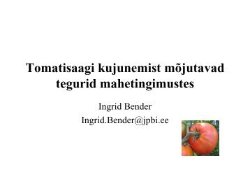 Tomatisaagi kujunemist mõjutavad tegurid mahetingimustes – Ingrid ...