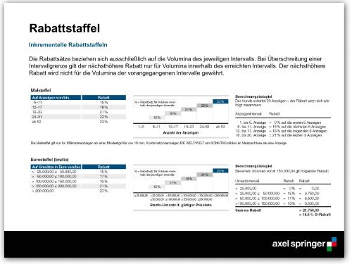 Sonderformat - Axel Springer MediaPilot