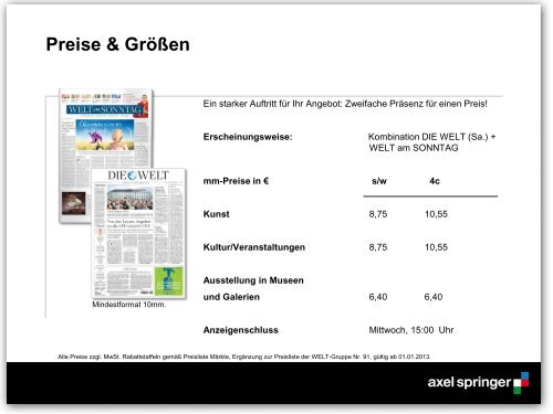 Sonderformat - Axel Springer MediaPilot