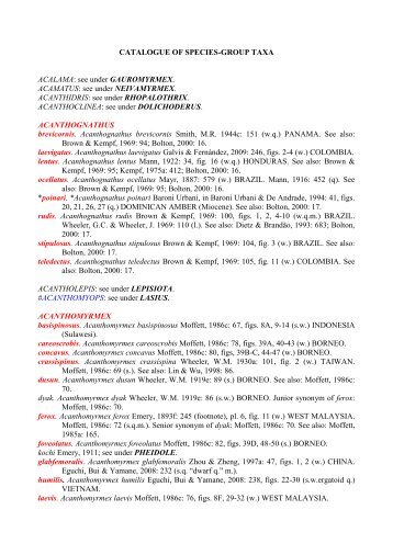 CATALOGUE OF SPECIES-GROUP TAXA