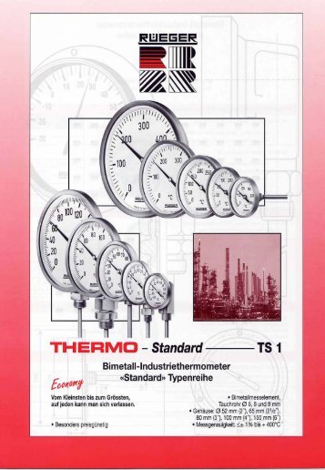 TH-STD-TS1 D.pdf - Rueger