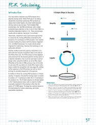 Promega Enzyme Buffer Chart