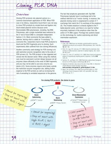 DNA Analysis Notebook chapter: Cloning PCR DNA - Promega