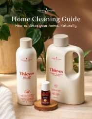 Thieves Cleaning Guide