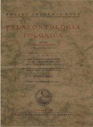upper orijovician - Palaeontologia Polonica
