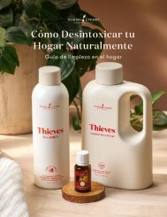 Cómo Desintoxicar tu Hogar Naturalmente Guía de limpieza en el hogar