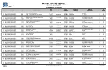 TRIBUNAL SUPREMO ELECTORAL