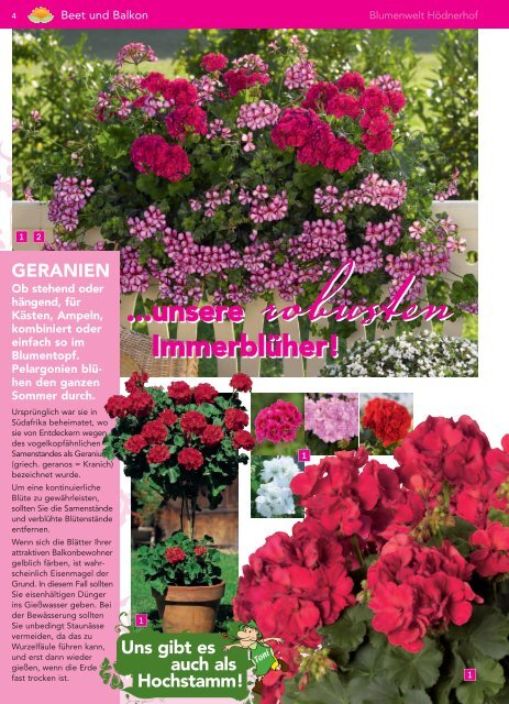 Immerblüher! ...unsere robusten - Blumenwelt Hödnerhof