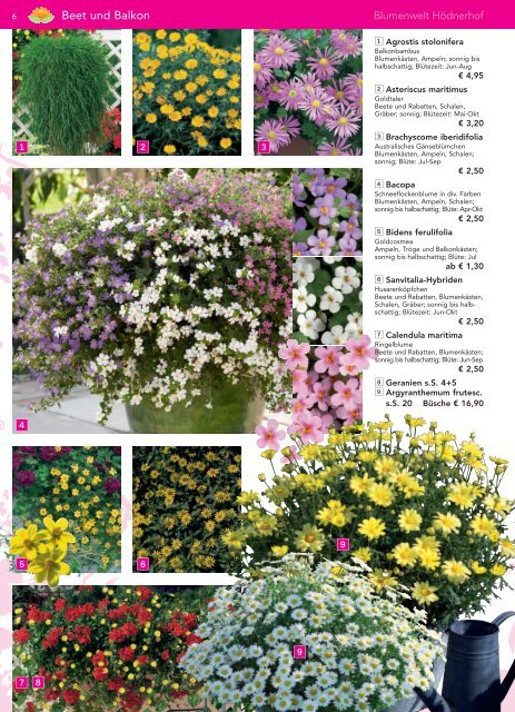 Immerblüher! ...unsere robusten - Blumenwelt Hödnerhof