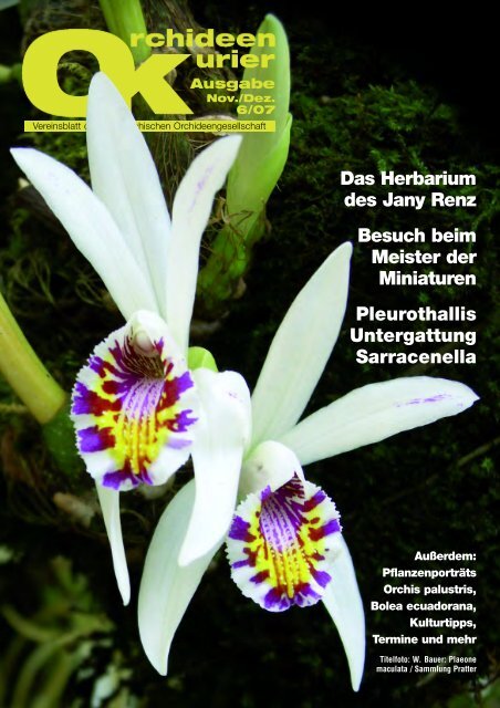 Die Schweizerische Orchideenstiftung am Herbarium Jany Renz
