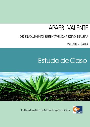 APAEB VALENTE Estudo de Caso - Ibam