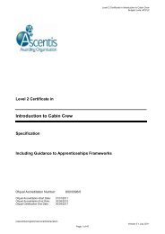 Airline Cabin Crew Stonebridge Associated Colleges