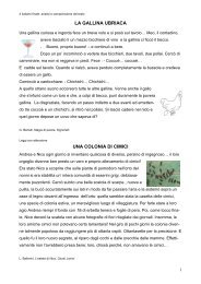 La gallina ubriaca-Una colonia di cimici