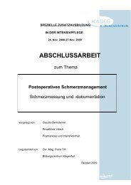 Abschlussarbeit 2009 - Kabeg