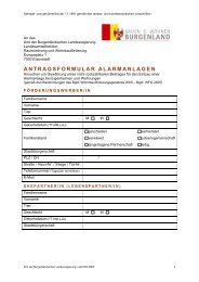 ANTRAGSFORMULAR ALARMANLAGEN - E-Government im ...