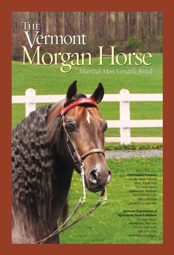 Morgan Horse for pdf - Vermont Department of Agriculture