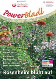 POWERbladl 26 - Ausgabe September 2009 - Stadtwerke Rosenheim