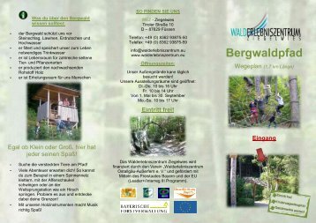 Bergwaldpfad - Walderlebniszentrum Ziegelwies
