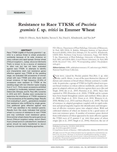 Resistance to Race TTKSK of Puccinia graminis f. sp. tritici in Emmer ...