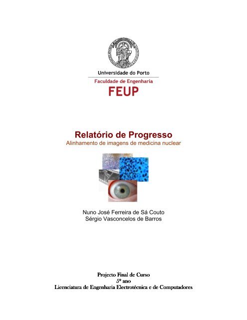 Relatório de Progresso - Faculdade de Engenharia da Universidade ...