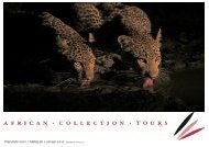 B otswana - bei african-collection.ch