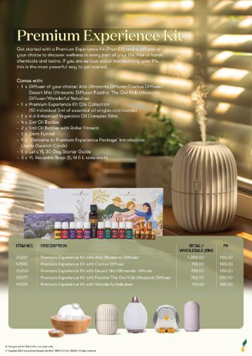 Premium Experience Kit Flyers