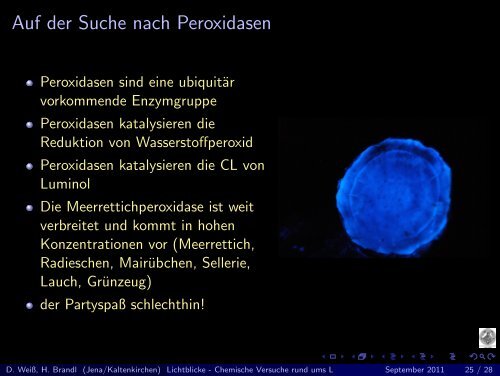 Lichtblicke - Chemische Versuche rund ums Licht - Friedrich-Schiller ...