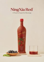 NingXia Booklet