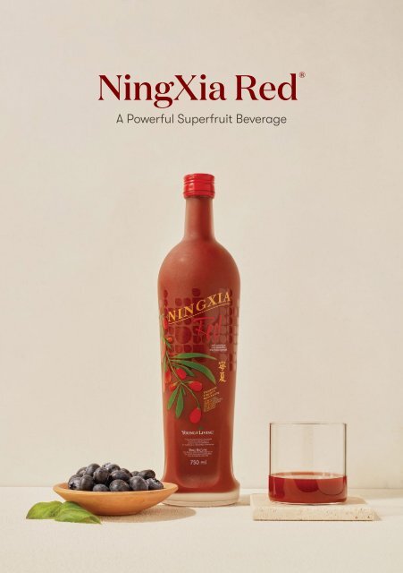 NingXia Booklet